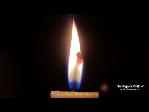 download lagu mp3 mp4 Why Use Beeswax Candles, download lagu Why Use Beeswax Candles gratis, unduh video klip Why Use Beeswax Candles