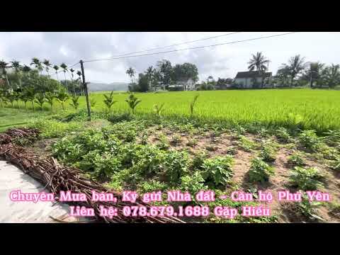 ĐẤT PHÚ HÒA, PHÚ YÊN 400M2, 10x40 CHỈ 700 TRIỆU, CÓ THỔ CƯ, XÂY NHÀ Ở NGAY