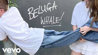 Cover art for Beluga whale