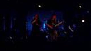 Forest Stream - Black Swans (live)