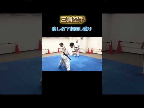 【三浦空手】崩しの下段回し蹴り#miurakarate #karate #shorts #martialarts
