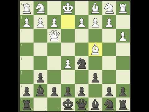 04 11 2025 02 38 05 REC