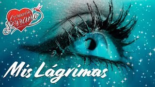 Mis Lágrimas Lyrics English Translation