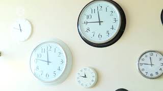 Как получить земельный участок под бизнес?