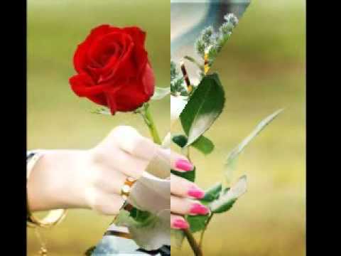 Ljuca Rustem Muratovic - Poljetela dva goluba.mp4