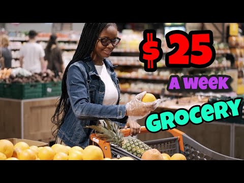 , title : '$25 a week Grocery, CUT up to 80% Grocery bills and SAVE MONEY. 21 languages subtitles.'