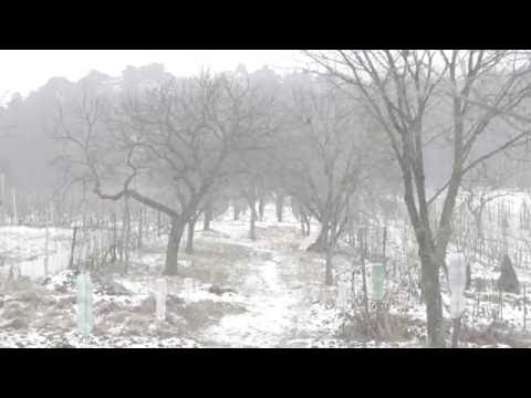 Android Asteroid - Prázdný Místa - Official David Koller Cover