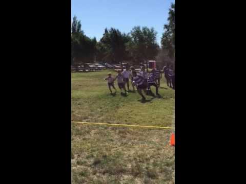 Kingston makes a try for U10s Summer 7s Rugby tournament