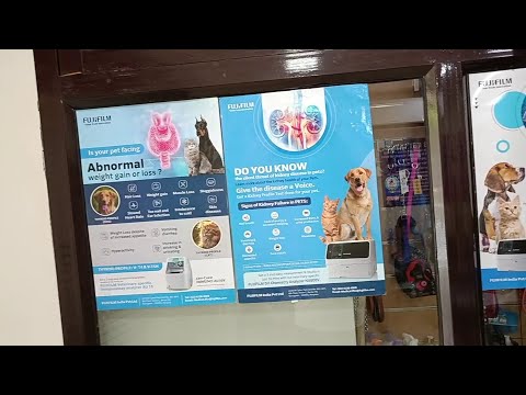 Dr. Sharma, Owner of a Vet Clinic and Pet Shop