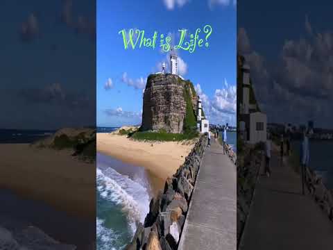 What is Life? 🙏Subscribe