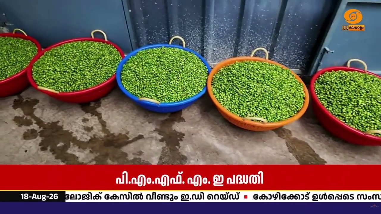 ഏലം കർഷകർക്ക് കൈത്താങ്ങായി ഫാർമേഴ്സ് SHG | PMFME പദ്ധതിയി?