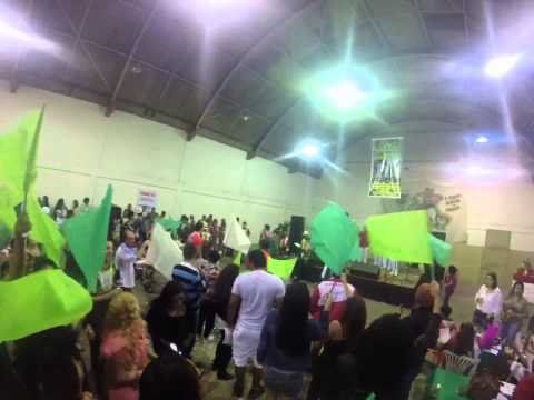 X9 Pioneira 2015 - apresentação samba 8