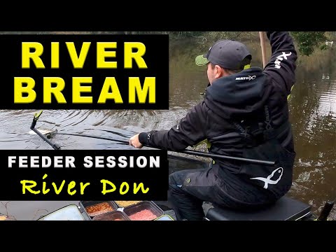 WINTER Feeder Session for BREAM - River Don