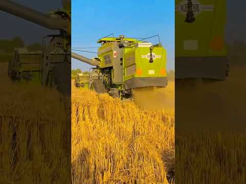combine harvester #combinesong kartar combine combine machine Vishal combine