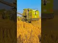 Combine Harvester Combinesong Kartar Combine Combine Machine Vishal Combine