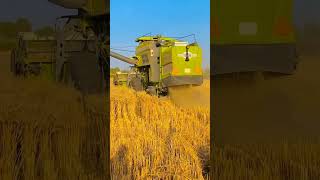 Download lagu combine harvester #combinesong kartar combine combine machine Vishal combine mp3 Download lagu combine harvester #combinesong kartar combine combine machine Vishal combine mp3