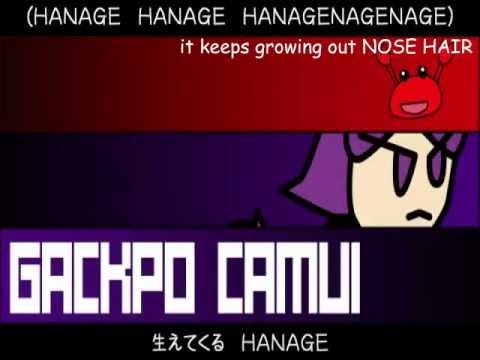 H A N A G E