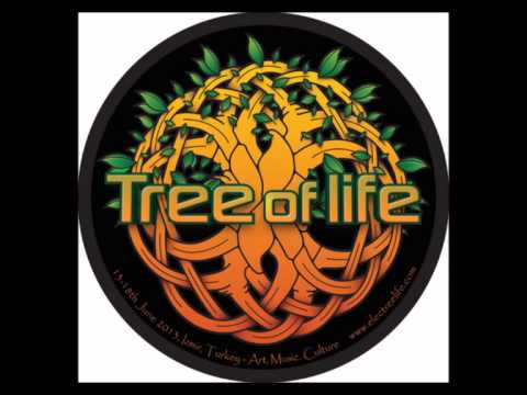 Plasmotek Live set @ Tree of Life festival 2015 [Psychedelic Trance]