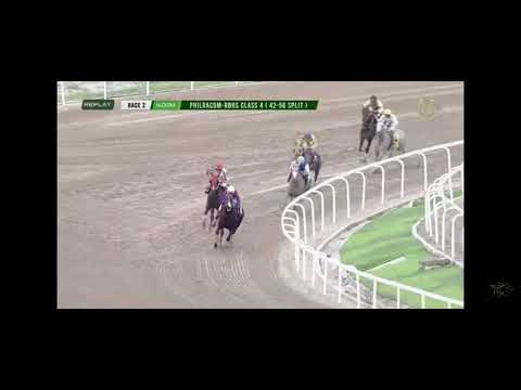 Every four years/every sweat counts/justice prevails/frosty raven/the best of my love/GINTONG HARI/