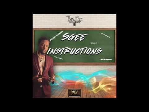 @s.geemusic - Instructions (Colors Riddim) (Prod. By @nycenation) [Clean Version]