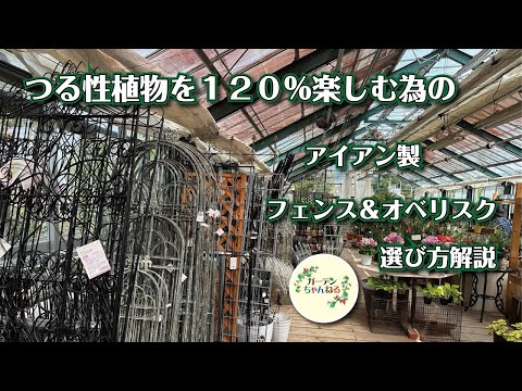 本物のフェンスウインチ 植物