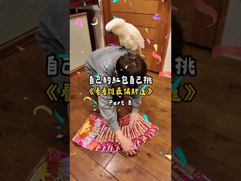 啵啵窮到只能賣屁股了🥲 #鸚鵡 #搞笑