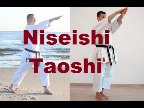 Niseishi Takedown(s)