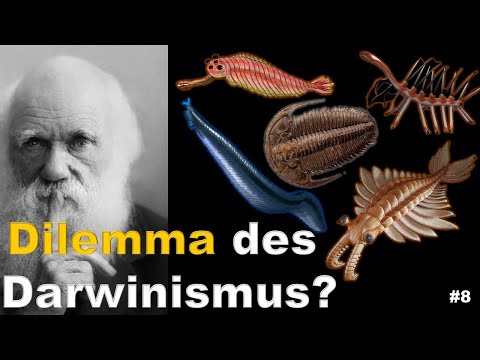 Can evolution explain the "Cambrian Explosion"? (from Luca to Eve, Part 8)