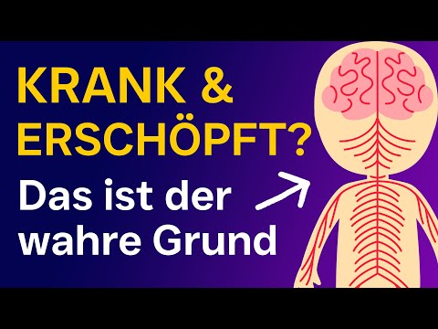 🟣 Polyvagal Theorie: Wenn der Körper nicht mehr kann - Chronische Krankheiten, Erschöpfung & Burnout