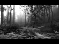 GABRIELE D'ANNUNZIO " La pioggia nel pineto ...