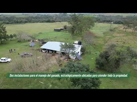 WhatsApp Video 2024 09 10 at 10 41 08