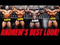 2025 Romania Muscle Fest Pro Complete Results 14 Contestants