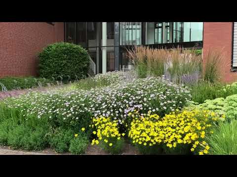 Große Stauden- und Gräser Pflanzung