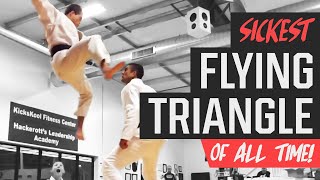 The Ultimate Guide to the Coolest Flying Triangle Ever
