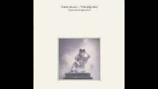 Kate Bush - Not This Time