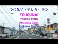 TSUGUNAI TERESA TENG つぐない　テレサ テン LYRICS LIRIK TERJEMAHAN INDONESIA SUASANA KOTA 