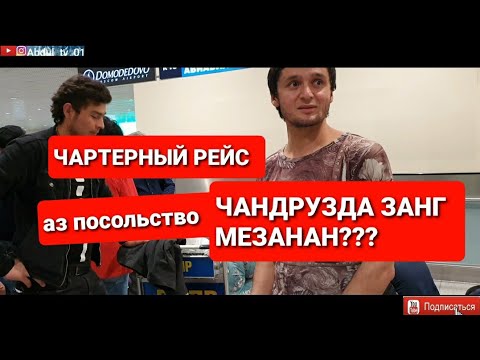 Чартерный рейс аэропорт Домодедово