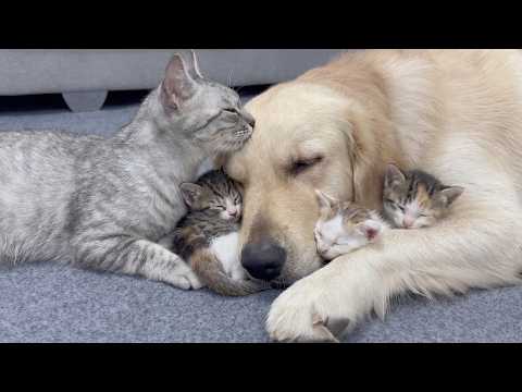 YouTube 썸네일
