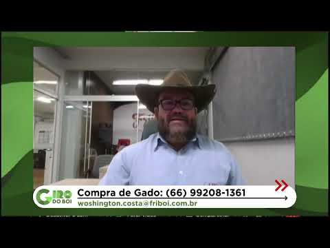 GARROTADA TERMINADA NA TIP CHEGA A QUASE 22 ARROBAS EM DOM AQUINO (MT); VEJA