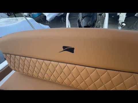 2027 Stingray 17 CC Video
