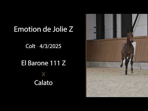Emotion de Jolie Z