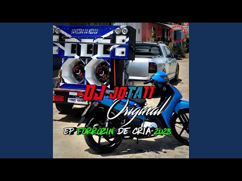 Vem Descendo a Tcheca 2 Forrozinho (feat. Mc Gw)