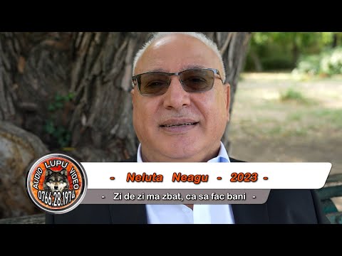 Neluta Neagu - Zi de zi ma zbat ca sa fac bani - Invingator - 2023