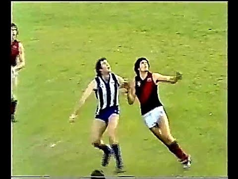 1981 Reserves Elimination Final North Melbourne V Essendon