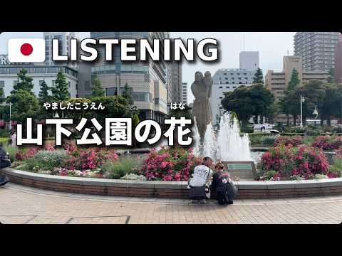 Japanese Listening Practice: Yamashita Park & Hikawa Maru, Yokohama