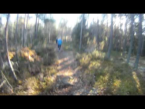Höstmilen 2011 del 2: 6km - Mål