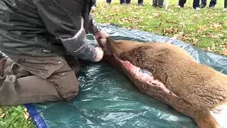 5th Annual Kinzua Quality Deer Cooperative Deer Season Kick off Merlin Benner of Wildlife Specialist