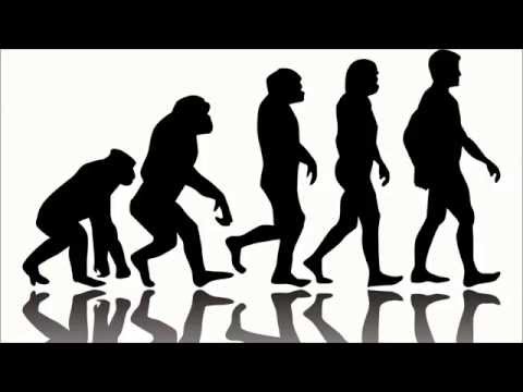 BBC 6 Minute English 2015年8月27日 - ダーウィン以前の進化 (BBC 6 Minute English August 27, 2015 - Evolution before Darwin)