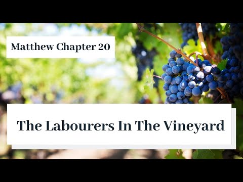 {Bible Stories} The Labourers In The Vineyard - Matthew Chapter 20 - King James Bible