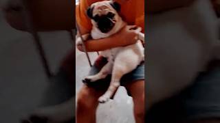 #funny #shots #viral #trending